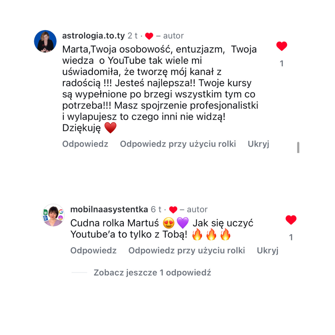 Opinia o Gangsterkach 2